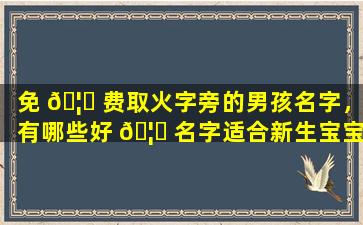 免 🦆 费取火字旁的男孩名字，有哪些好 🦈 名字适合新生宝宝